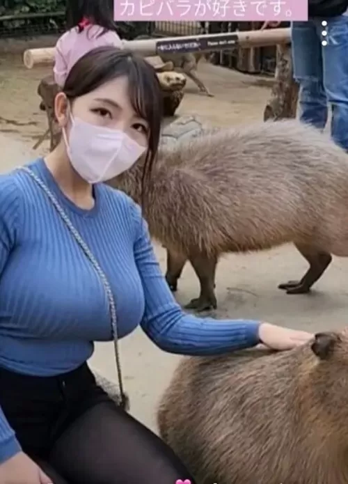 생각보다 큰 카피바라