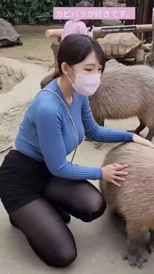 생각보다 큰 카피바라