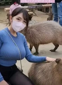 생각보다 큰 카피바라